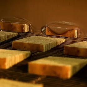 Royal Tree Cake – Gallery – Production – Composition 08