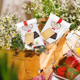 Sękacz Królewski – Galeria – Kompozycja 23