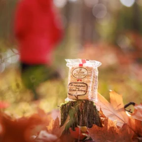 Sękacz Królewski – Galeria – Kompozycja 30